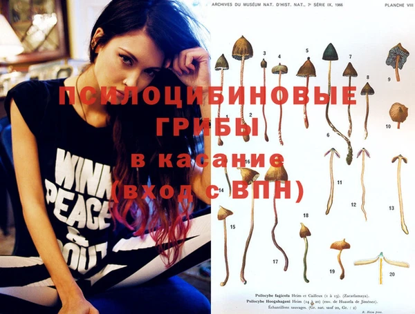 не бодяженный Вяземский